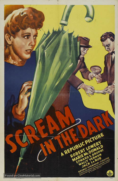 A Scream in the Dark - Movie Poster