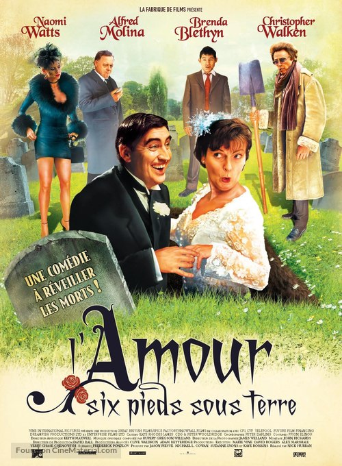 Plots with a View - French Movie Poster