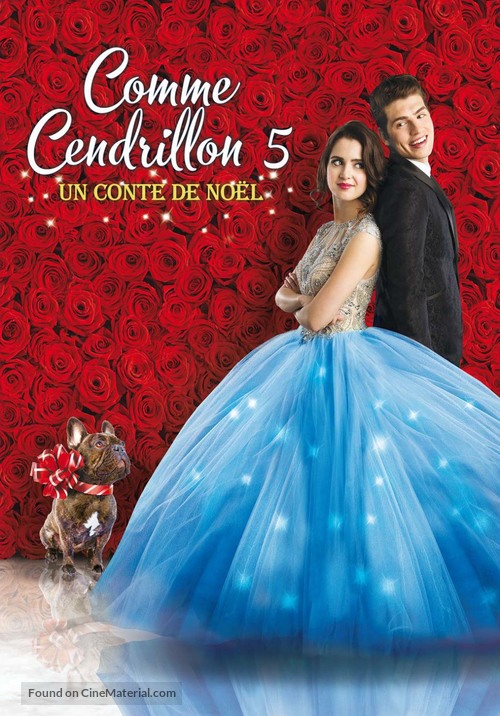 A Cinderella Story: Christmas Wish - French DVD movie cover