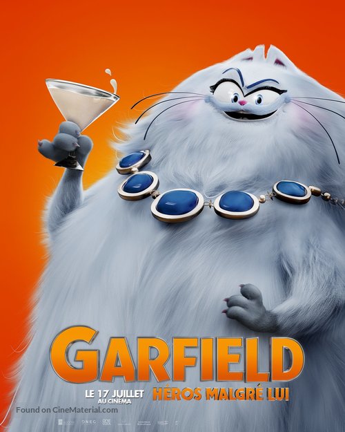 The Garfield Movie - French Movie Poster