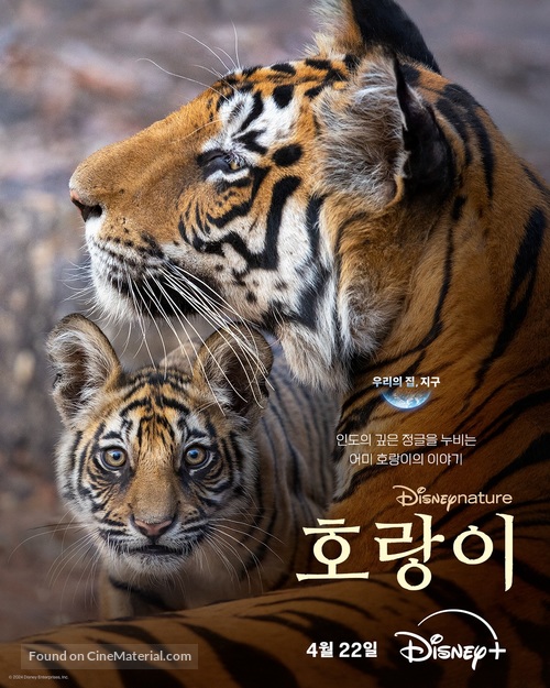 Tiger - South Korean Movie Poster