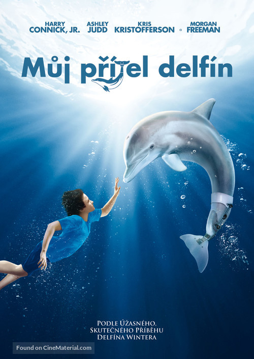 Dolphin Tale - Czech DVD movie cover