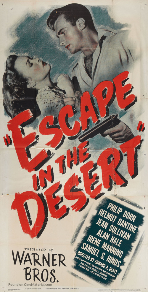 Escape in the Desert - Movie Poster