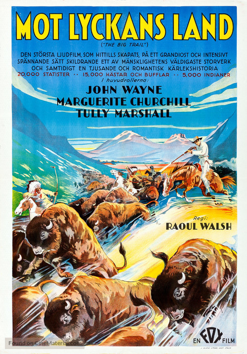 The Big Trail - Swedish Movie Poster