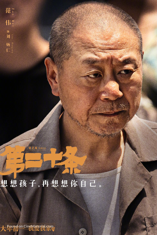 Di er shi tiao - Chinese Movie Poster