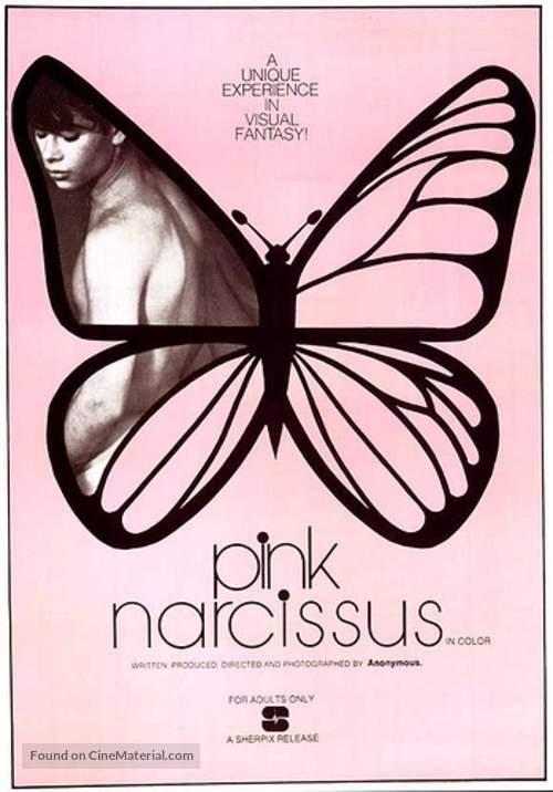 Pink Narcissus - Movie Poster