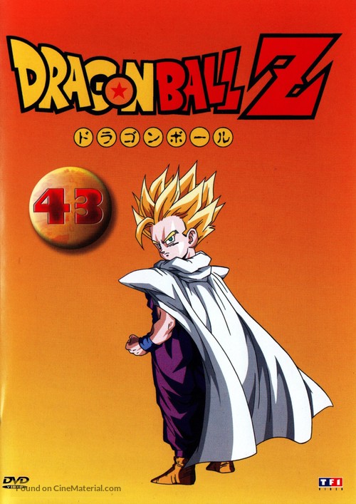 &quot;Dragon Ball Z&quot; - French DVD movie cover