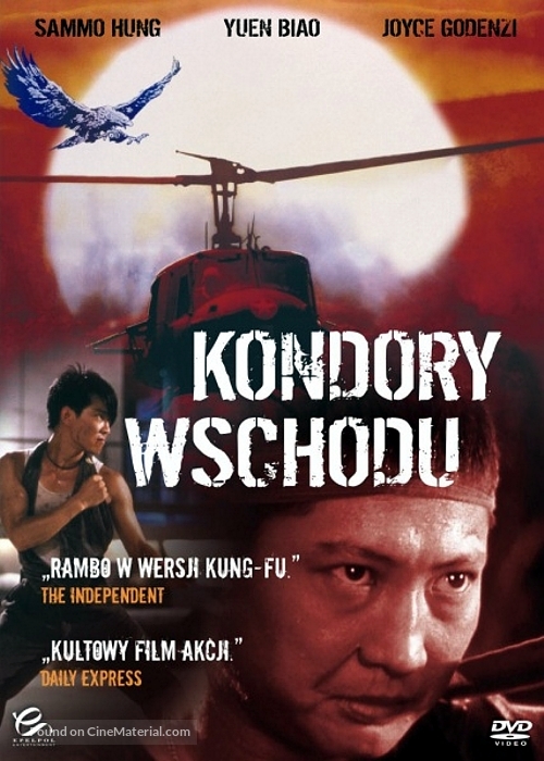 Dung fong tuk ying - Polish DVD movie cover