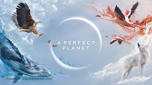 &quot;A Perfect Planet&quot; - British Movie Cover