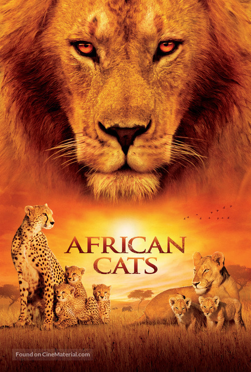 African Cats - Movie Poster