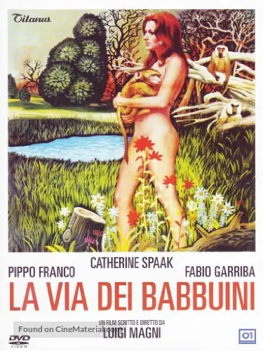 Via dei babbuini, La - Italian Movie Cover