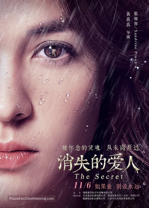 The Secret - Chinese Movie Poster