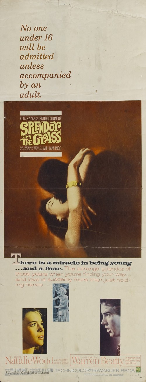Splendor in the Grass - Movie Poster