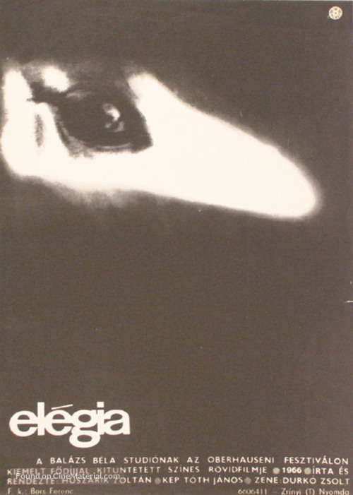 El&eacute;gia - Hungarian Movie Poster