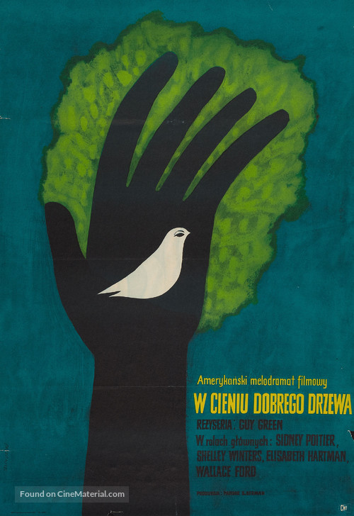 A Patch of Blue - Polish Movie Poster