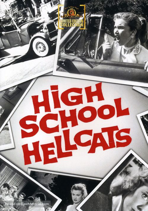 High School Hellcats - DVD movie cover