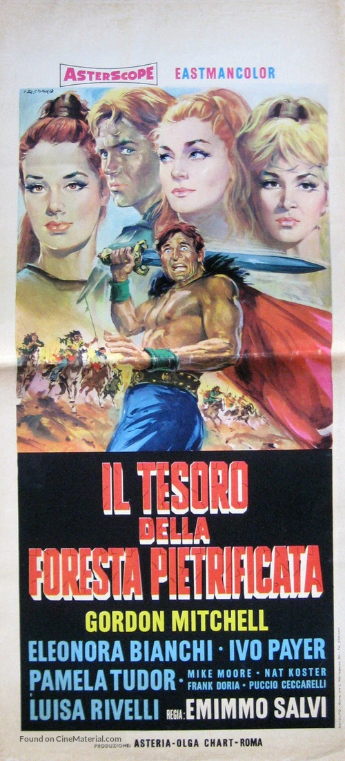 Il tesoro della foresta pietrificata - Italian Movie Poster
