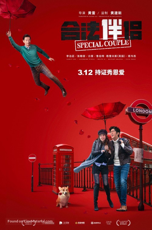 Special Couple - Chinese Movie Poster