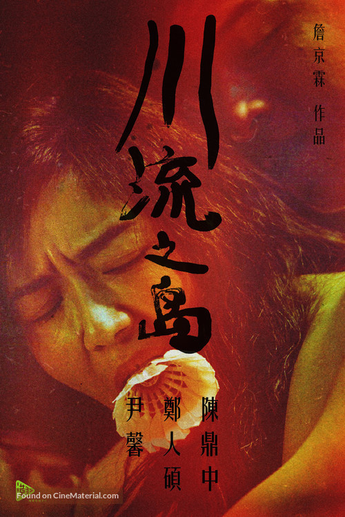 Chuan liu zhi dao - Taiwanese Movie Poster