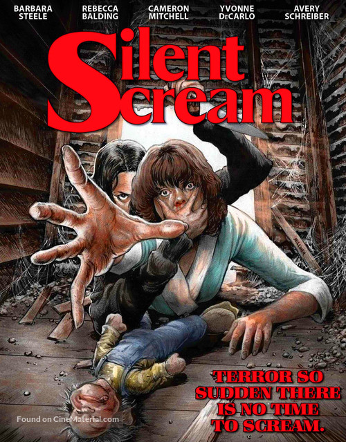 The Silent Scream - Movie Cover