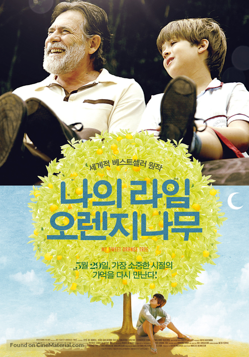 Meu p&eacute; de laranja Lima - South Korean Movie Poster