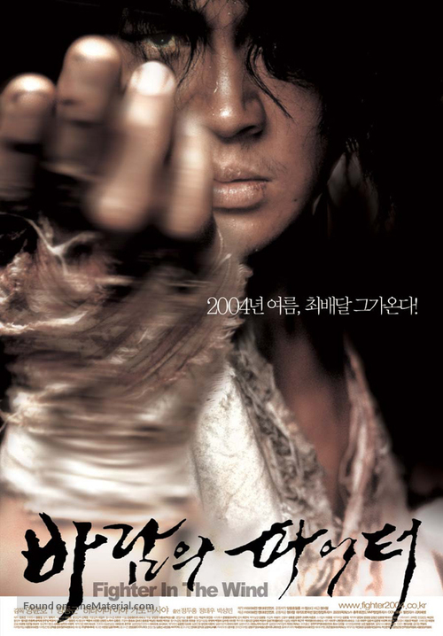 Baramui Fighter - South Korean Movie Poster