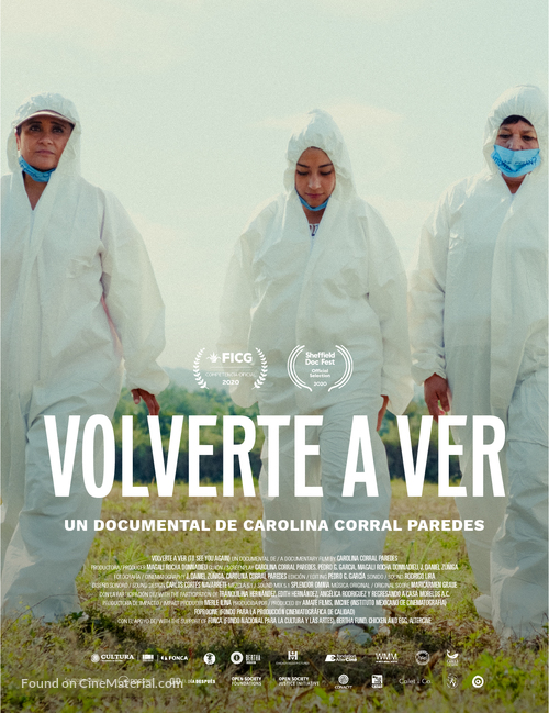 Volverte a Ver - Mexican Movie Poster