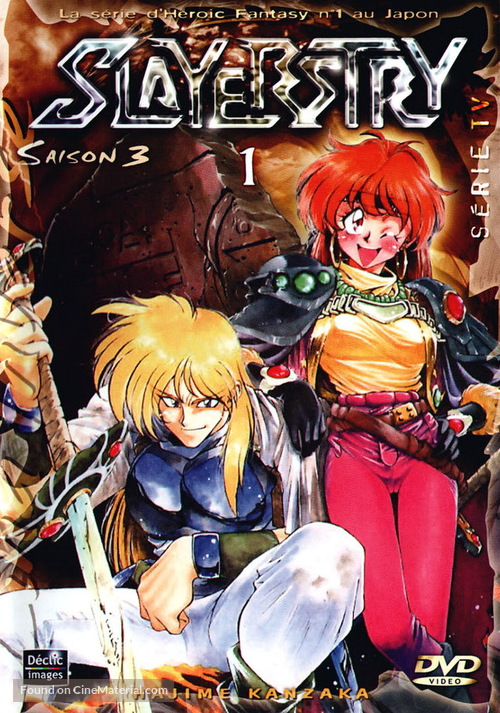 &quot;Slayers Try&quot; - French Movie Cover