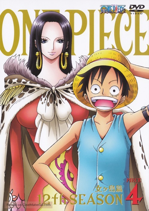 &quot;One Piece&quot; - Japanese DVD movie cover