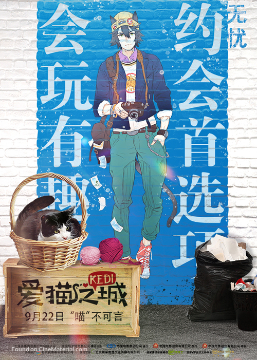 Kedi - Chinese Movie Poster