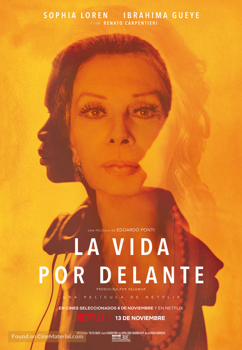 La vita davanti a s&eacute; - Spanish Movie Poster
