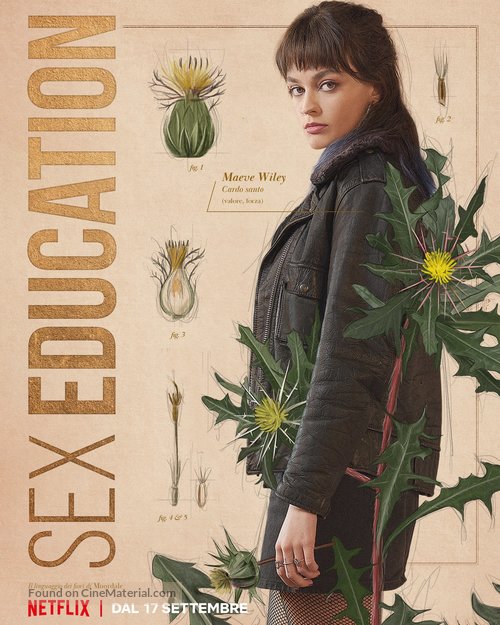 &quot;Sex Education&quot; - Italian Movie Poster