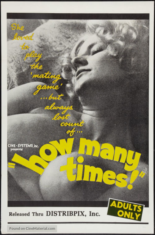 How Many Times - Movie Poster