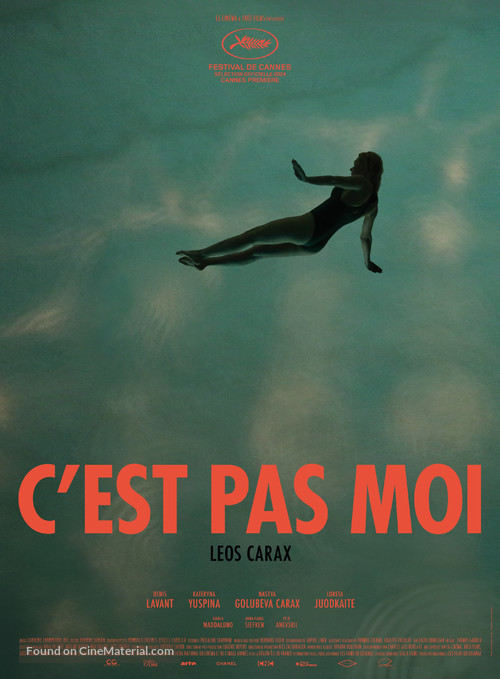 C&#039;est pas moi - French Movie Poster