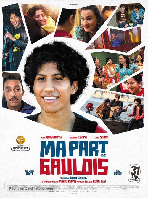 Ma part de Gaulois - French Movie Poster