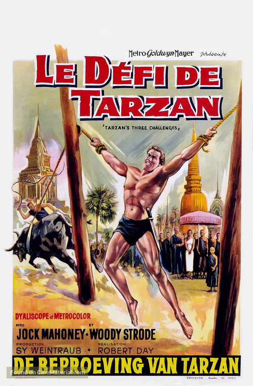 Tarzan&#039;s Three Challenges - Belgian Movie Poster