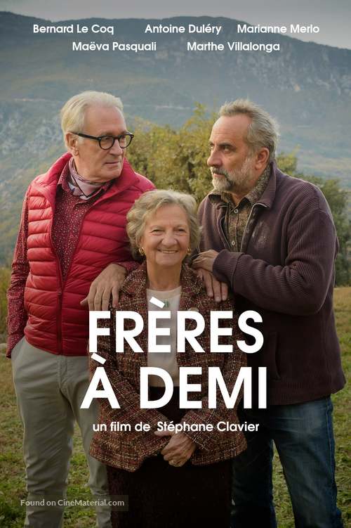 Fr&egrave;res &agrave; demi - French Movie Poster