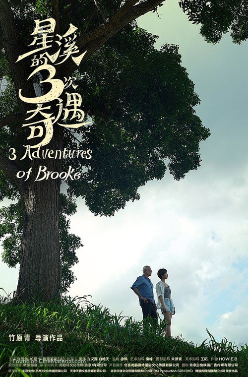 Three Adventures of Brooke - Chinese Movie Poster