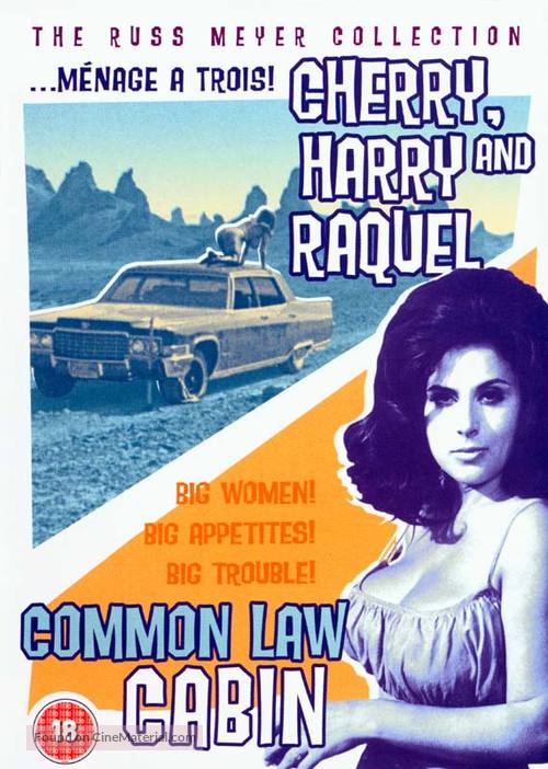 Common Law Cabin - DVD movie cover