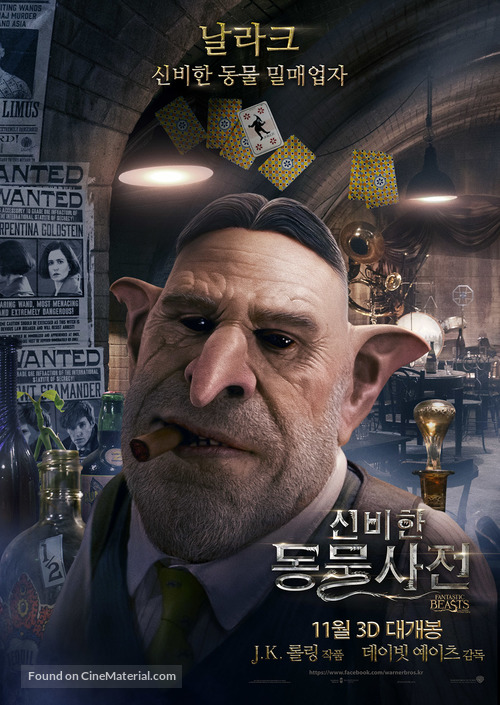 Fantastic Beasts and Where to Find Them - South Korean Movie Poster