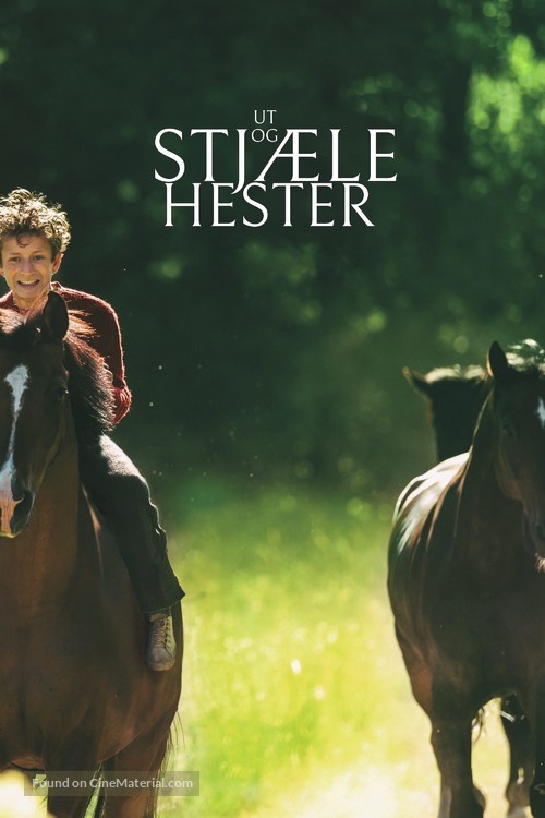 Ut og stj&aelig;le hester - Norwegian Movie Cover