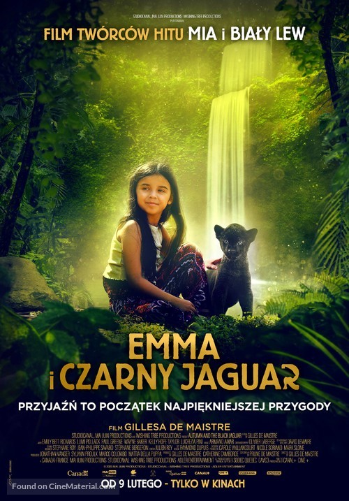 Le dernier jaguar - Polish Movie Poster
