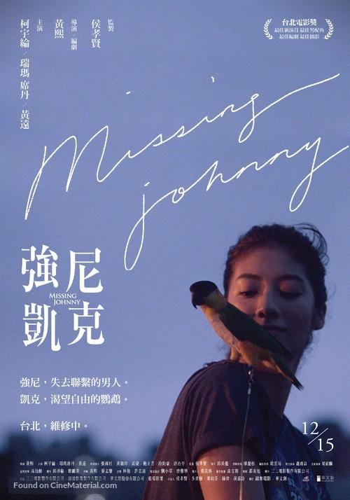 Missing Johnny - Taiwanese Movie Poster