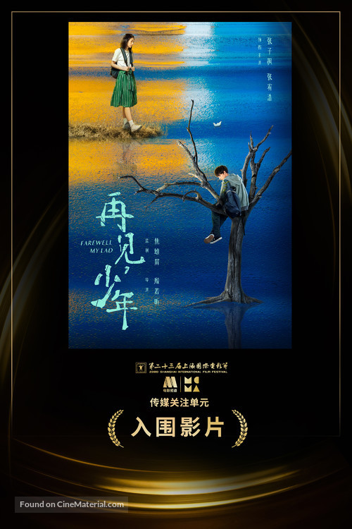Zai Jian Shao Nian - Chinese Movie Poster