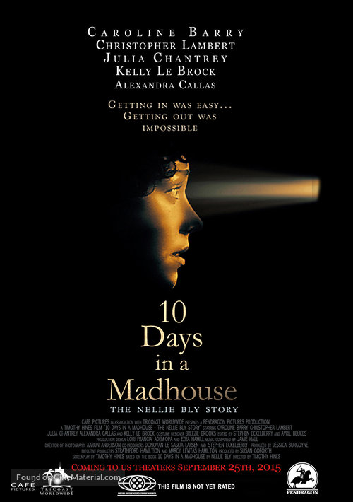 10 Days in a Madhouse - Movie Poster
