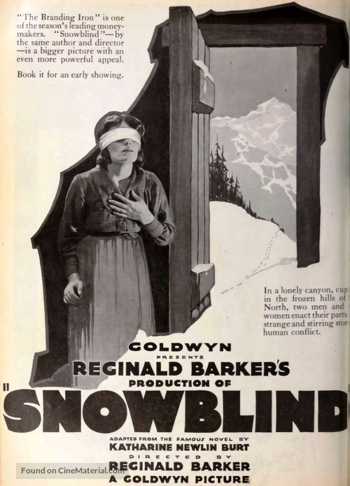 Snowblind - Movie Poster