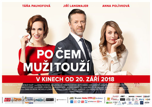 Po cem muzi touz&iacute; - Czech Movie Poster