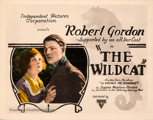 The Wildcat - Movie Poster