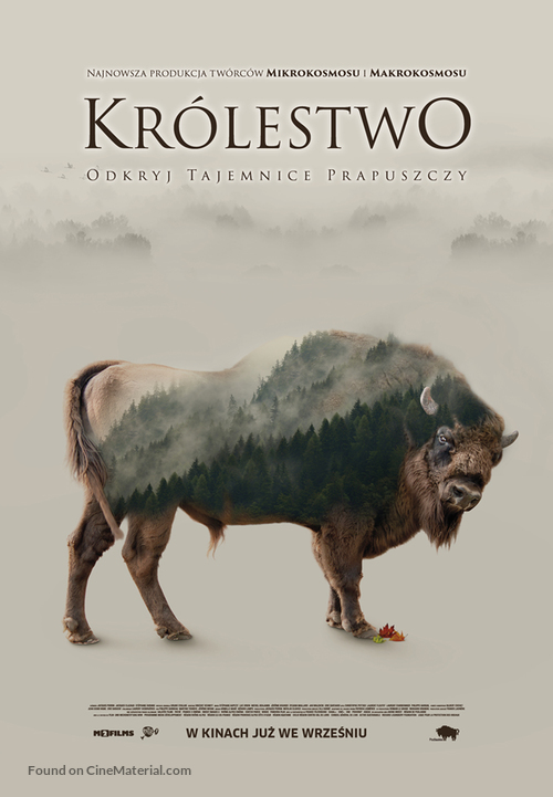 Les saisons - Polish Movie Poster