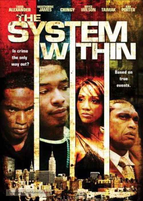 The System Within - DVD movie cover